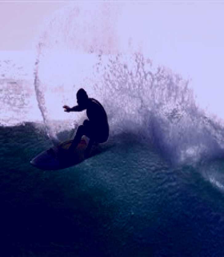 SubjectCoach | Killalea Beach Image 1