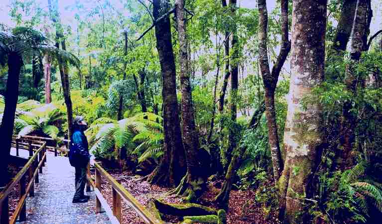 SubjectCoach | Monga National Park