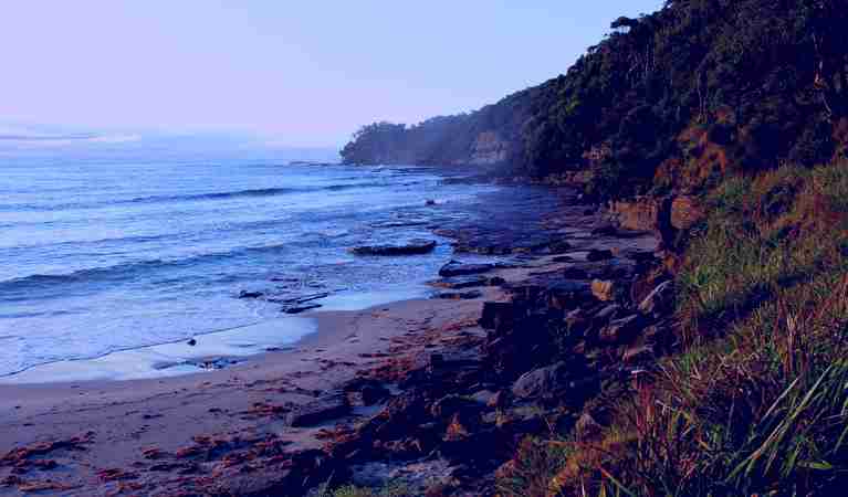 SubjectCoach | Murramarang National Park