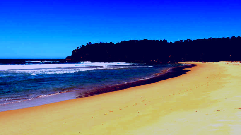 SubjectCoach | Nelson Beach