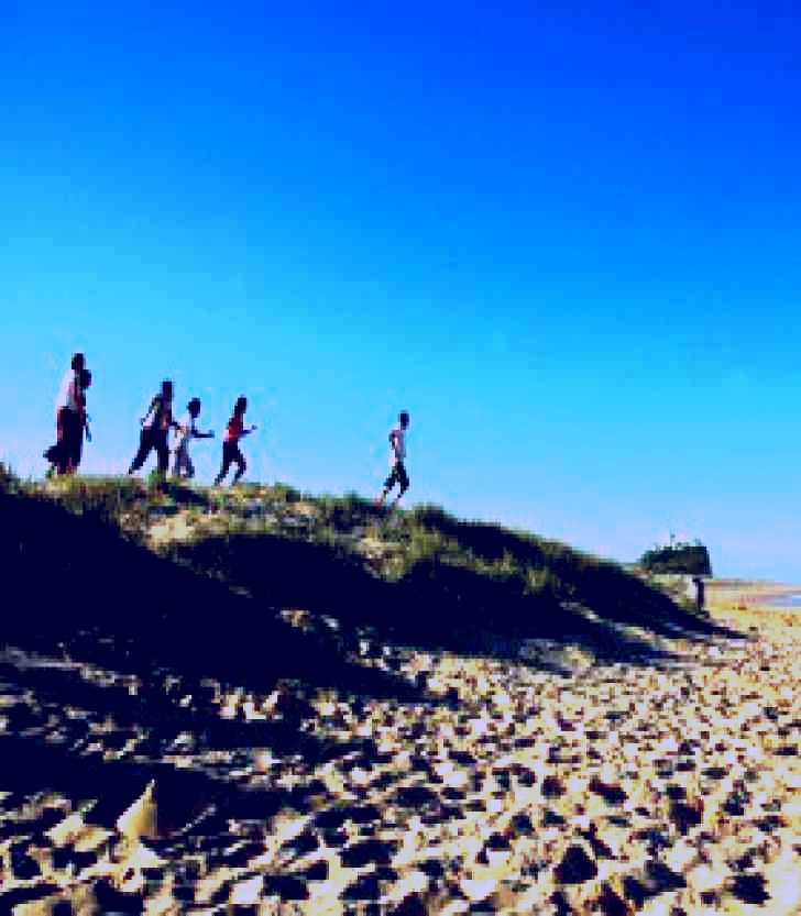 SubjectCoach | Newcastle Beach