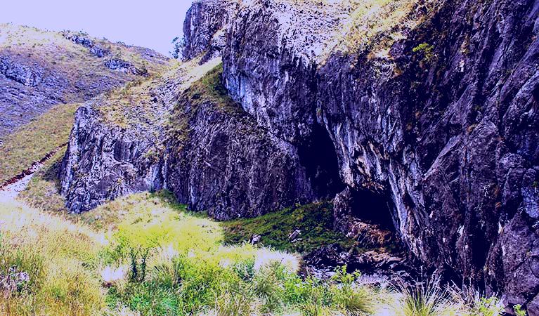 SubjectCoach | Nichols Gorge walking track
