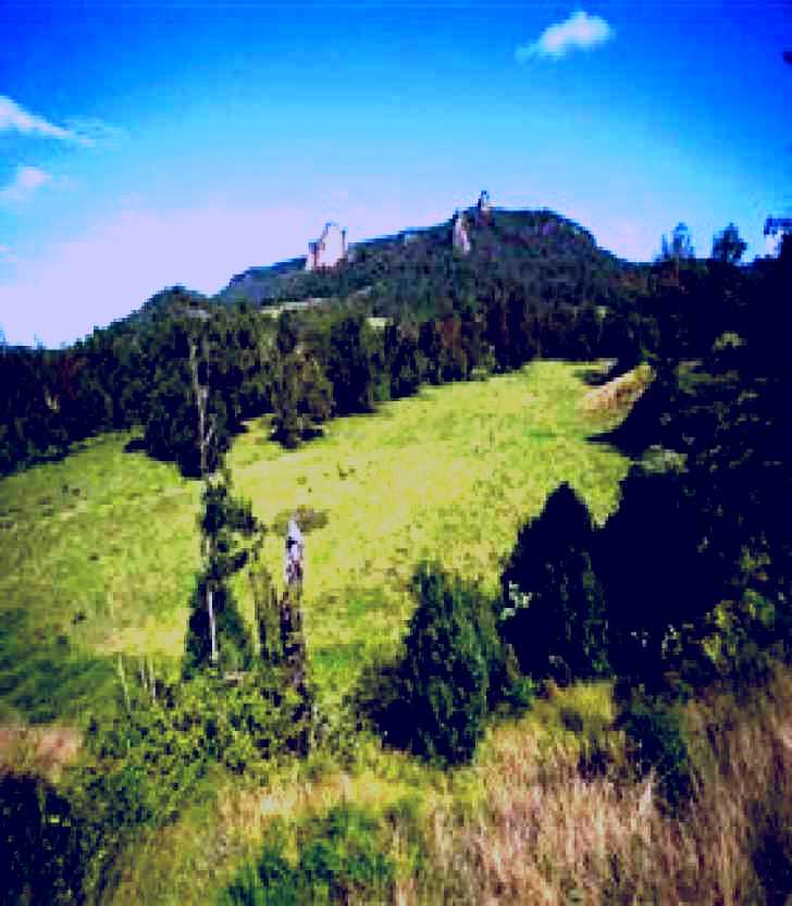 SubjectCoach | Nimbin Rocks