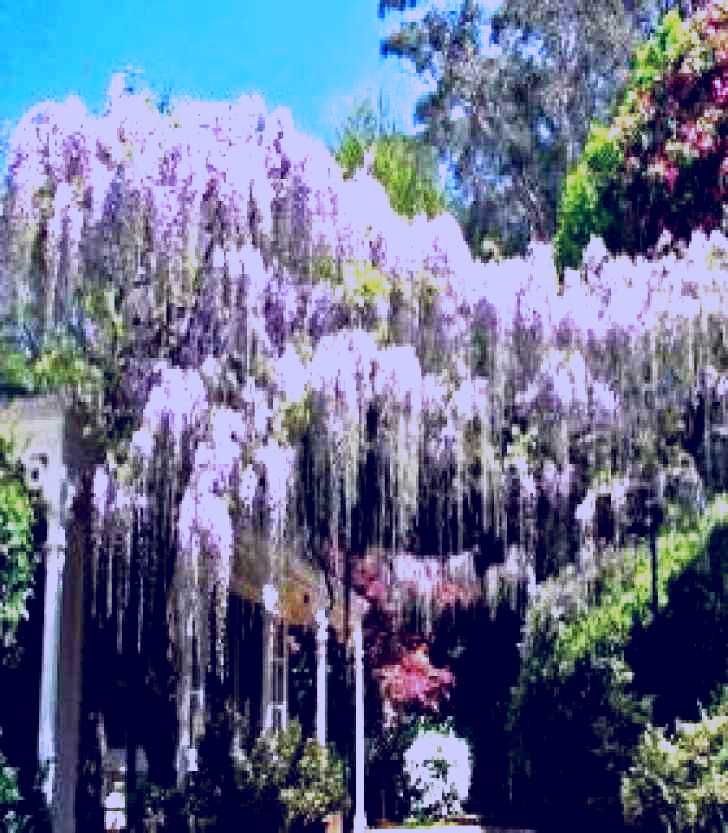 SubjectCoach | Nooroo Gardens