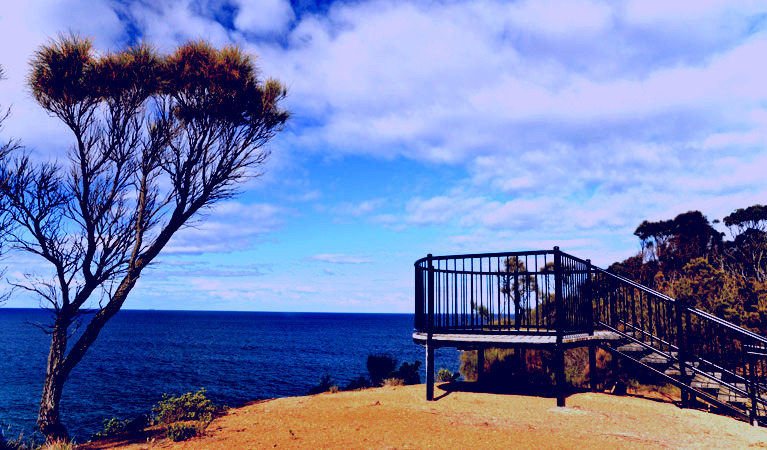 SubjectCoach | North Head lookout