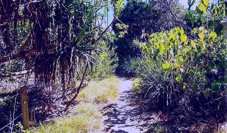 SubjectCoach | North Head walking track