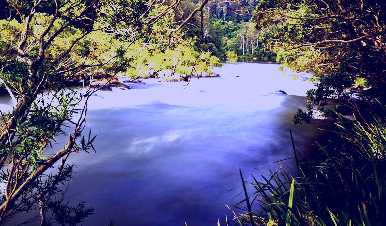 SubjectCoach | Nymboi-Binderay National Park