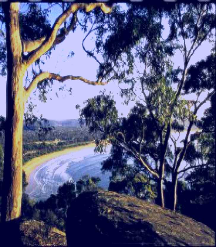 SubjectCoach | Ocean Beach Umina