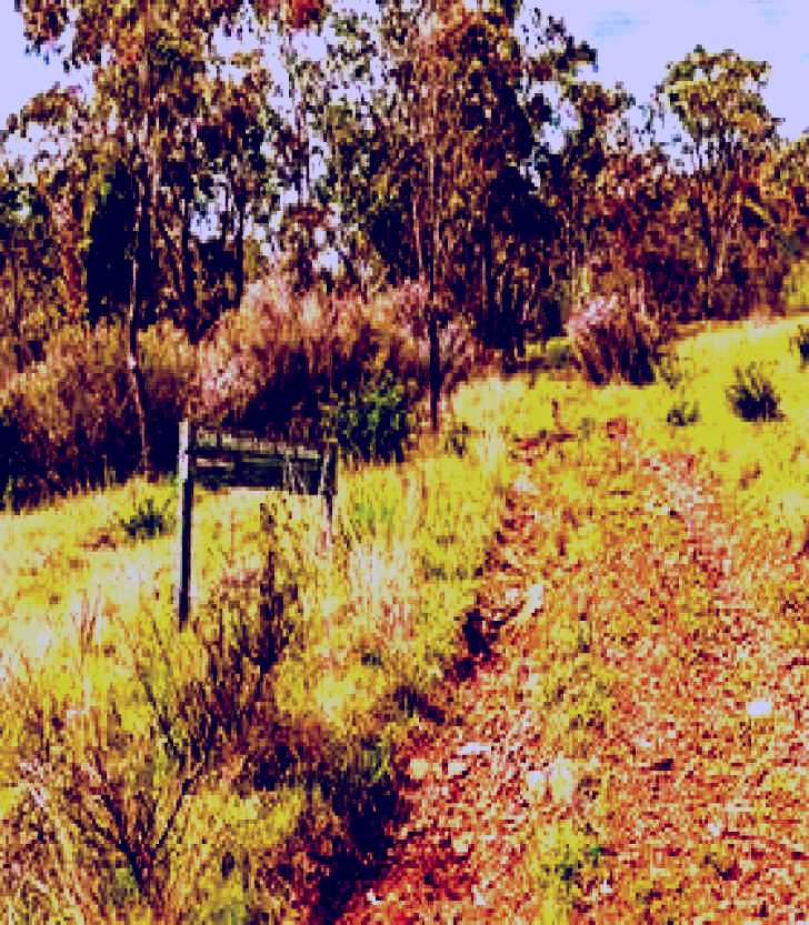 SubjectCoach | Old Mountain Road Walking Track