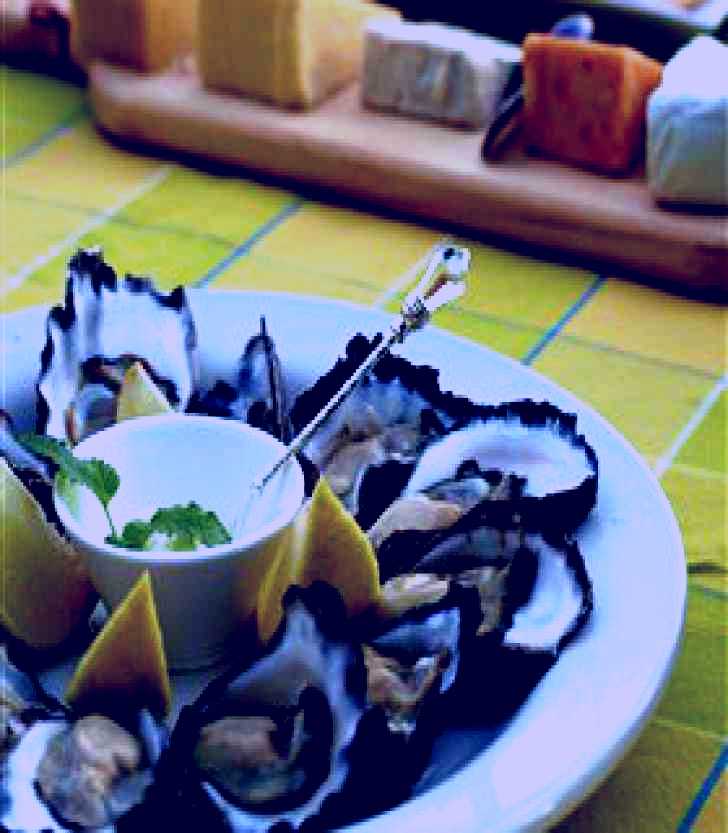SubjectCoach | Oyster Shed on Wray Street
