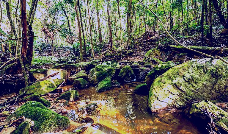 SubjectCoach | Palm Grove Nature Reserve