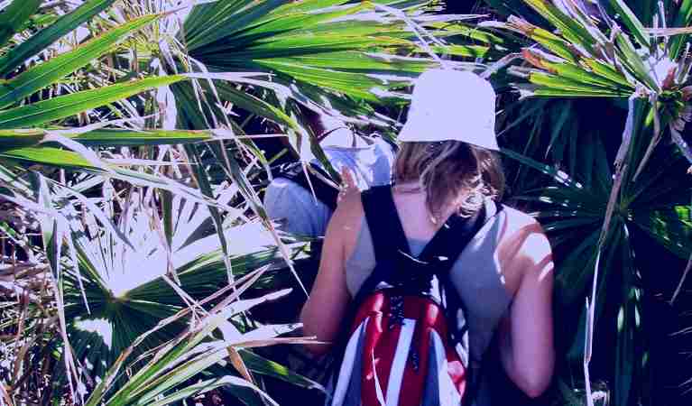 SubjectCoach | Palm Jungle loop track
