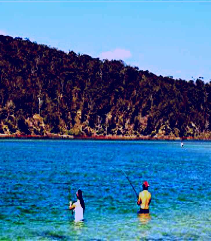 SubjectCoach | Pambula River Mouth