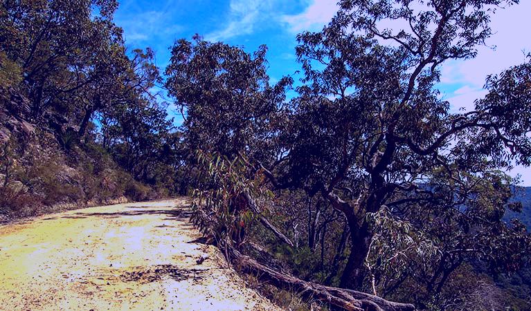 SubjectCoach | Parr State Conservation Area