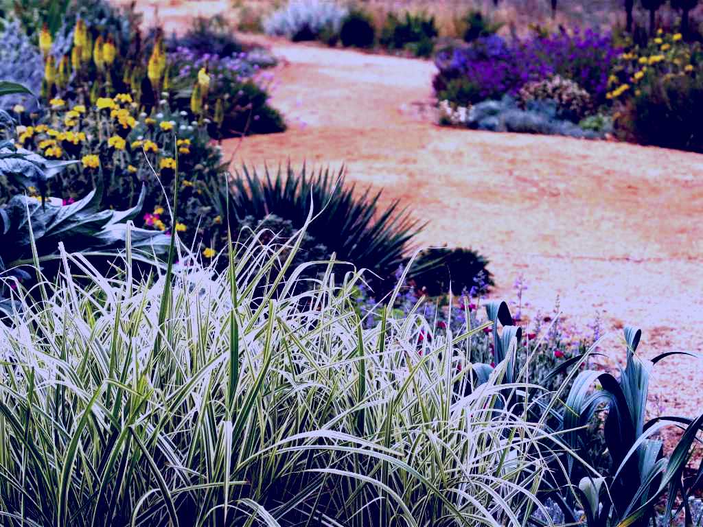 SubjectCoach | Perennialle Plants Nursery and Garden