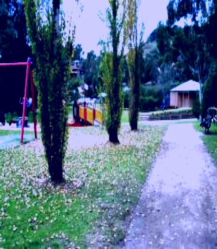 SubjectCoach | Picton Botanical Gardens
