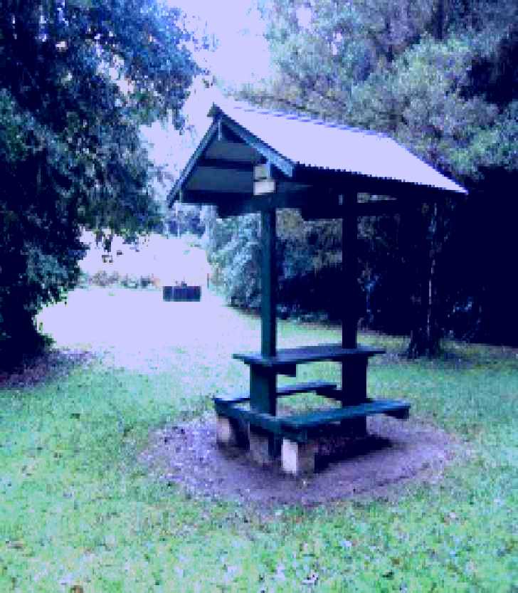 SubjectCoach | Pine Creek State Forest