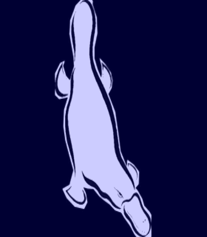 SubjectCoach | Platypus Gallery