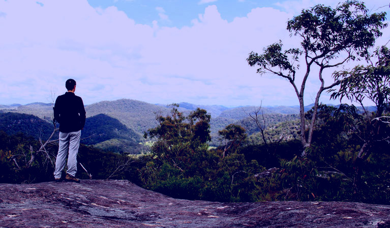 SubjectCoach | Popran National Park