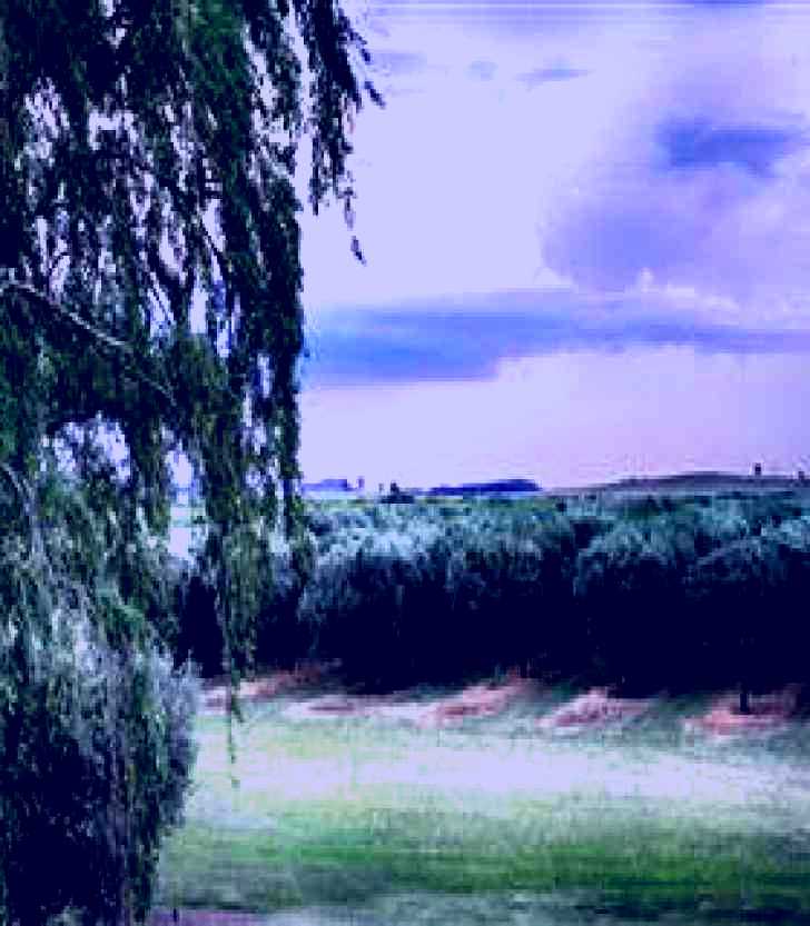 SubjectCoach | Pukara Estate