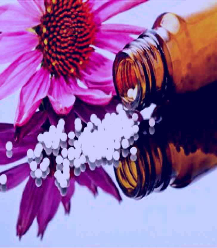 SubjectCoach | Pure Botanicals