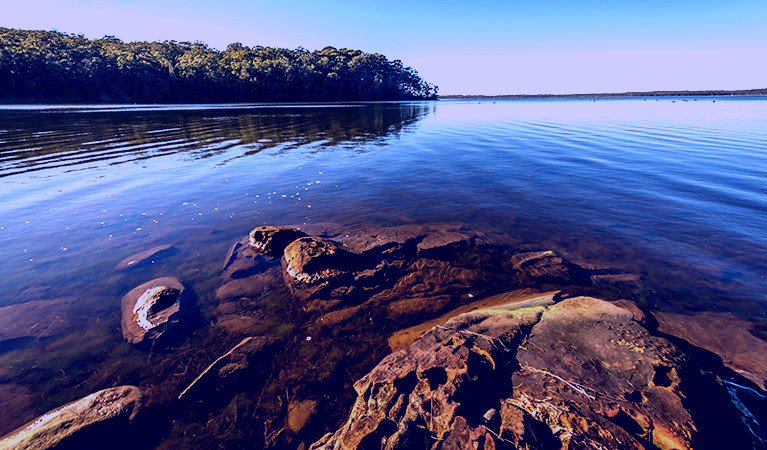 SubjectCoach | Queens Lake Nature Reserve