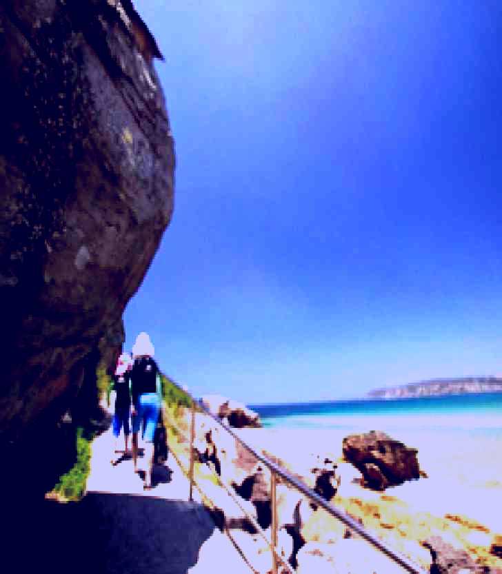 SubjectCoach | Queenscliff Beach