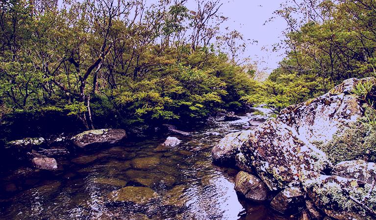 SubjectCoach | River walking track