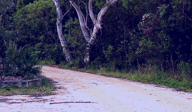 SubjectCoach | Riverview walking track