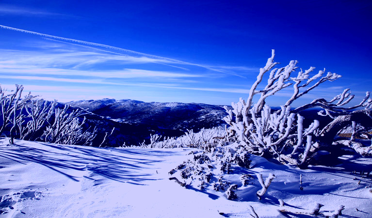SubjectCoach | Rock Creek snowshoe track