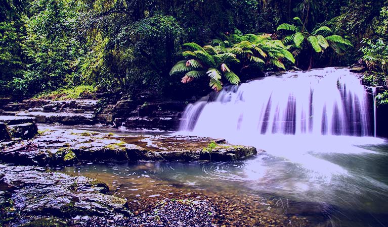 SubjectCoach | Rocky Crossing walk