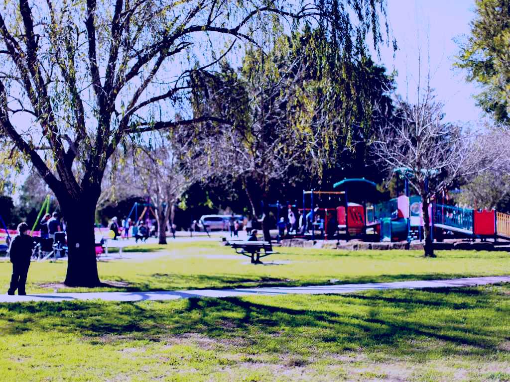 SubjectCoach | Rose Point Park: All abilities playground