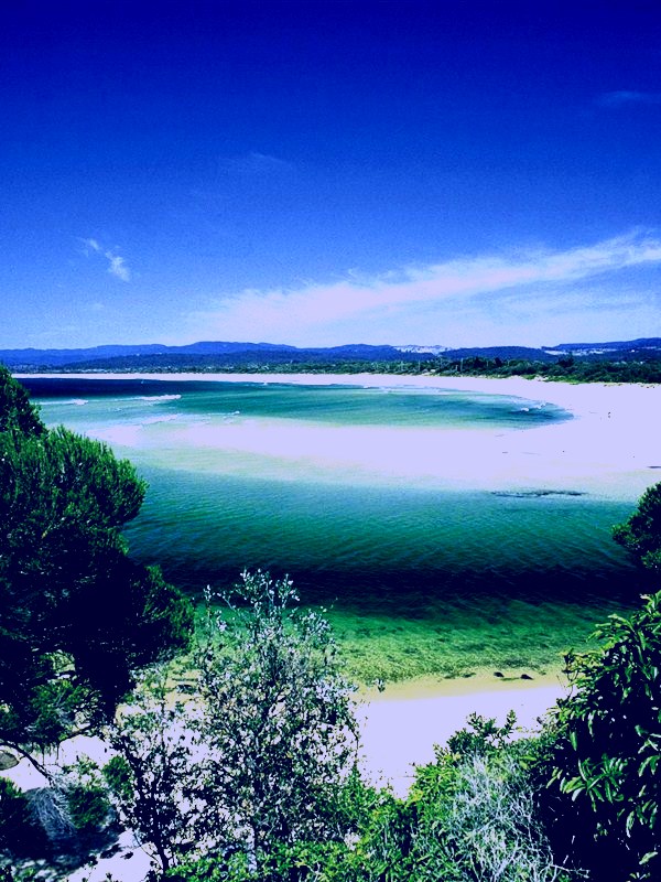 SubjectCoach | Rotary Walk  Merimbula
