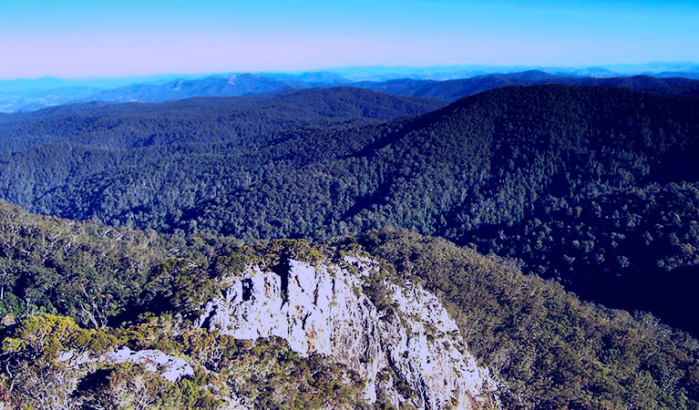SubjectCoach | Rowleys Peak lookout