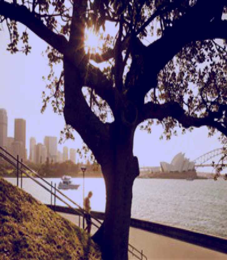 SubjectCoach | Royal Botanic Gardens and the Domain