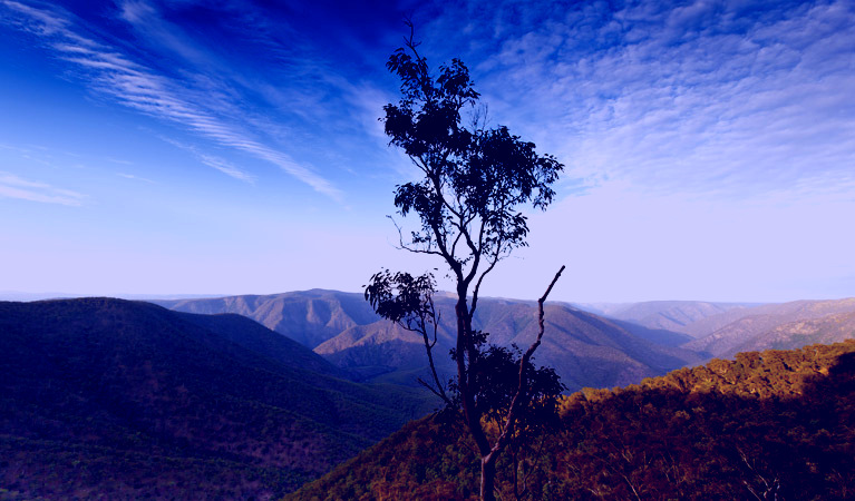 SubjectCoach | Salisbury Waters walking track