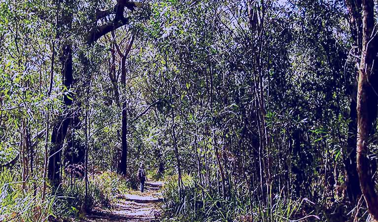 SubjectCoach | Sand track walk (south)