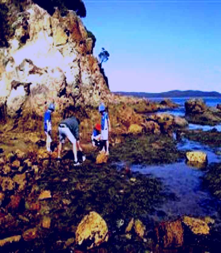 SubjectCoach | Sapphire Coast Marine Discovery Centre