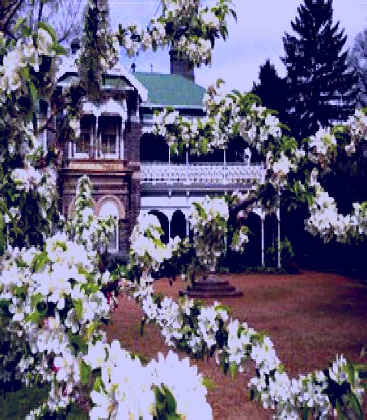SubjectCoach | Saumarez Homestead