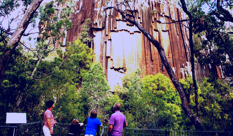 SubjectCoach | Sawn Rocks walking track