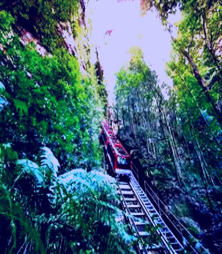 SubjectCoach | Scenic World Blue Mountains