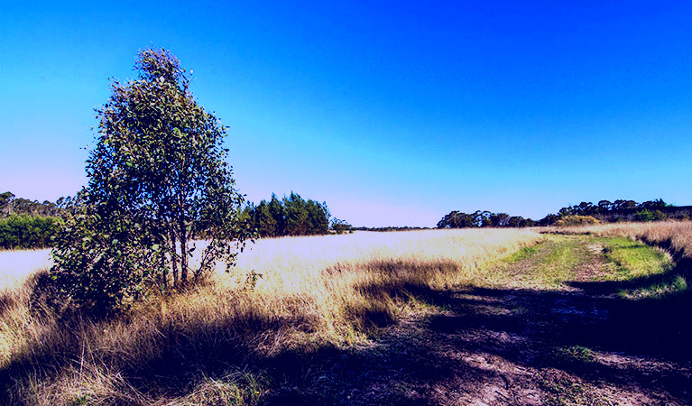 SubjectCoach | Scheyville horse riding trails