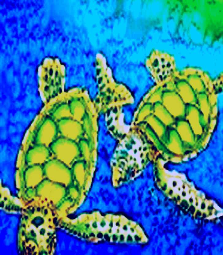 SubjectCoach | Sea Silks Gallery