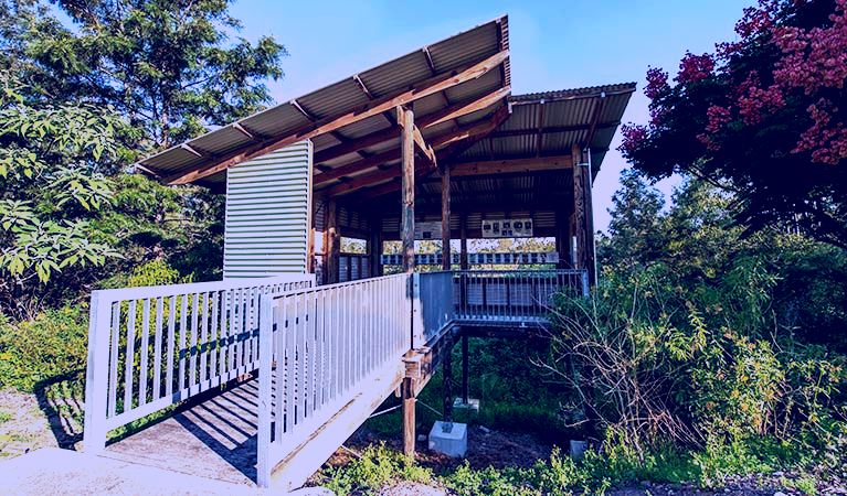SubjectCoach | Seaham Swamp Bird Hide