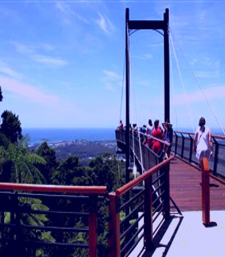 SubjectCoach | Sealy Lookout