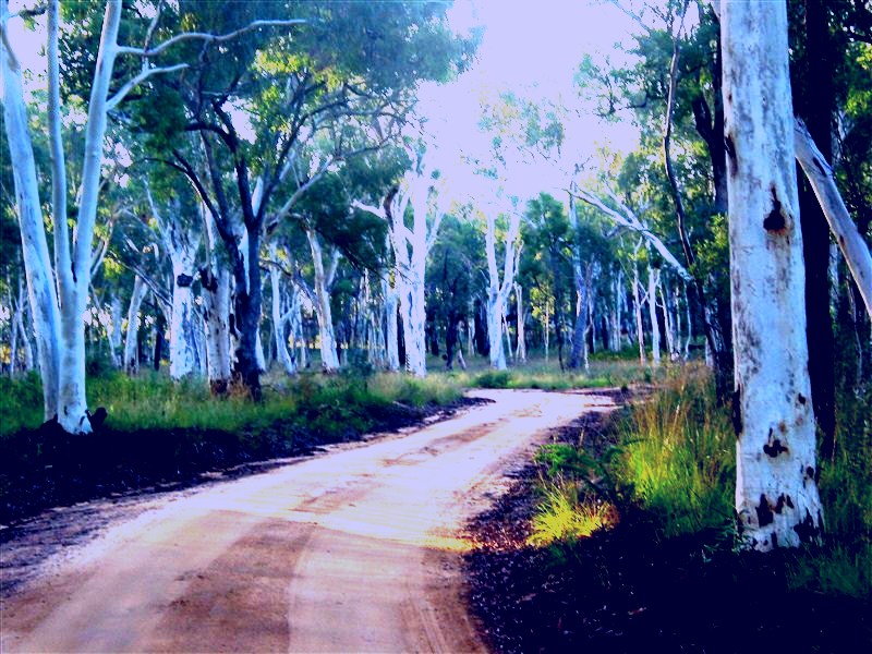 SubjectCoach | Self Drive Geology and Nature Trails