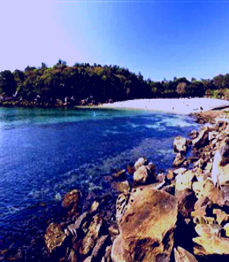 SubjectCoach | Shelly Beach