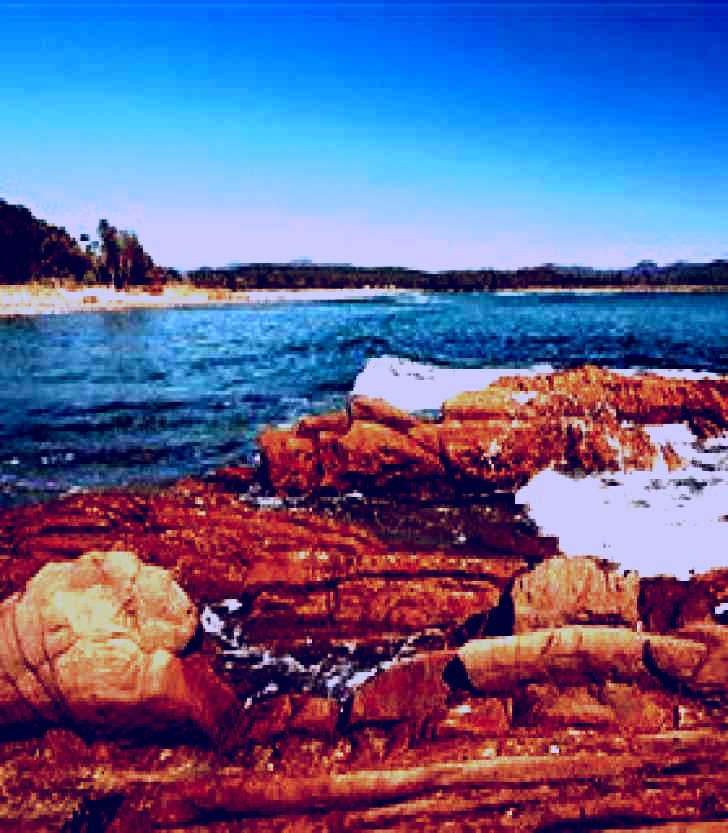 SubjectCoach | Shelly Beach Picnic Area - Moruya Heads