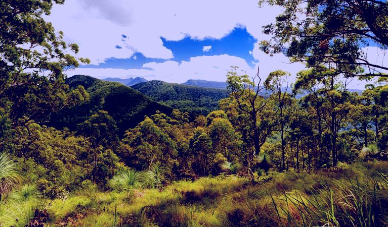 SubjectCoach | Sherwood lookout