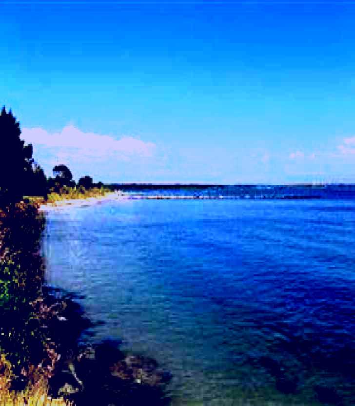SubjectCoach | Silver Beach